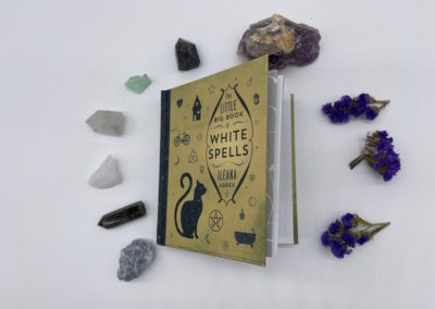 Spiritual book and crystals from An Even Greater Divide
